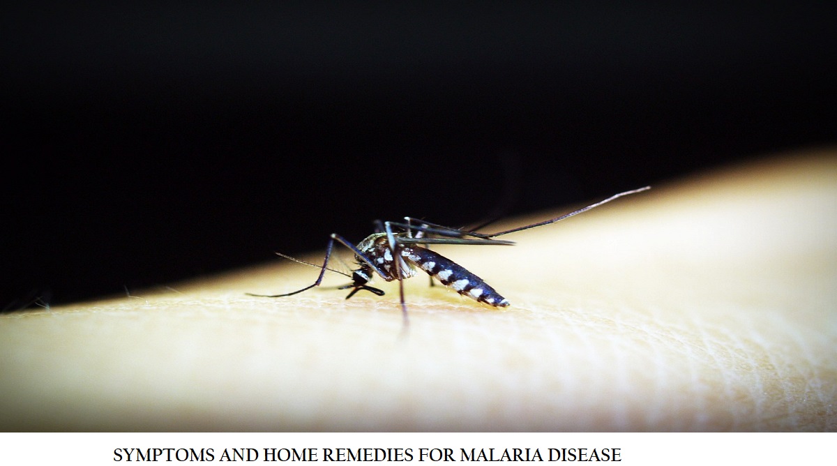 MALARIA SYMPTOMS